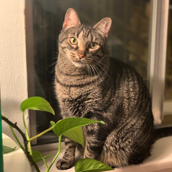 Meet your Posher, Natalie - Picture 2 of 2